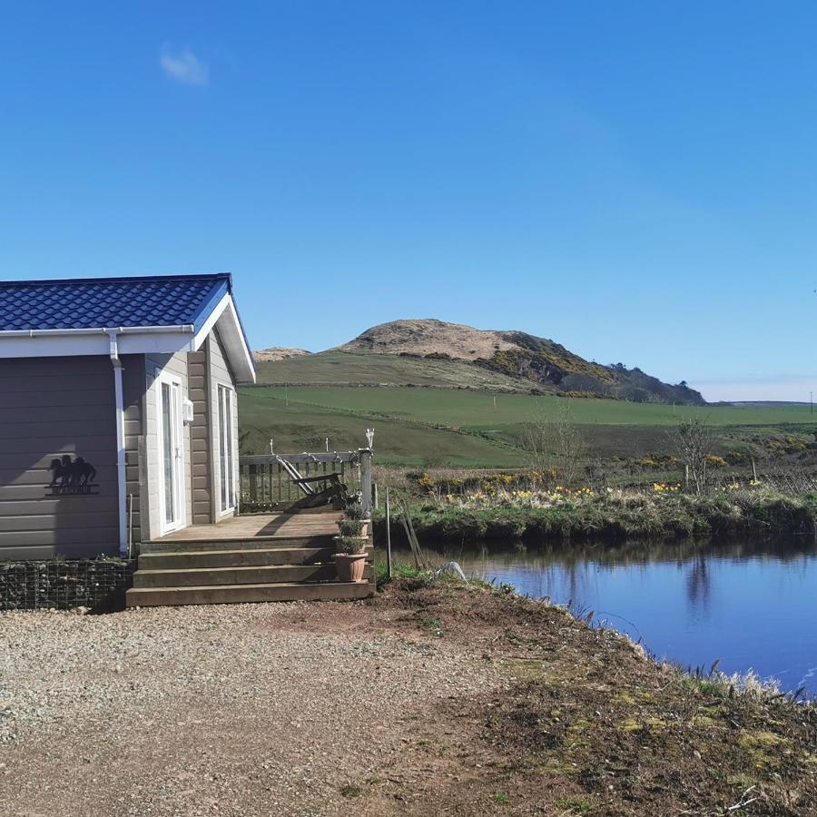 Homeston Chalet *